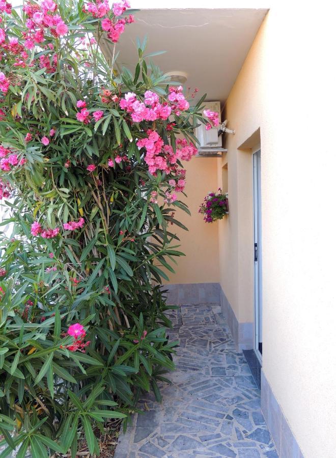 Husic Apartment